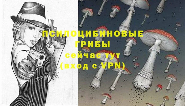 стаф Алексеевка