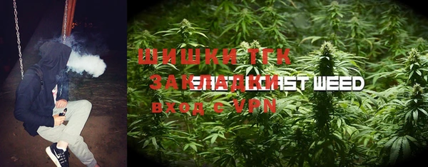 шишки Алексин