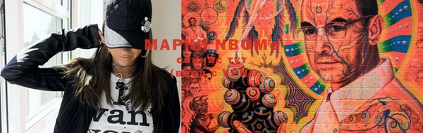 шишки Алексин