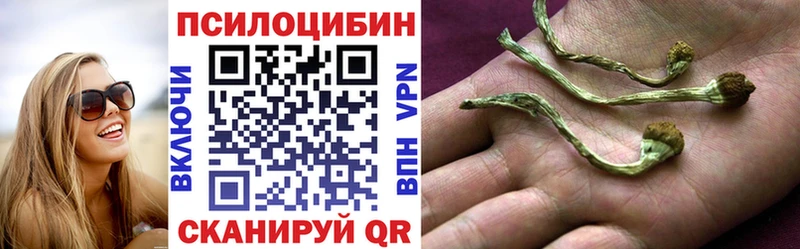 Галлюциногенные грибы Psilocybe  купить наркотик  МЕГА tor  Неман 